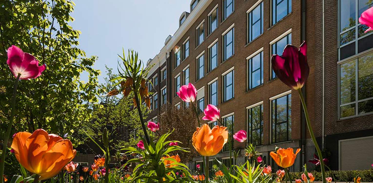 Grachtentuin in ontwikkeling Amsterdam