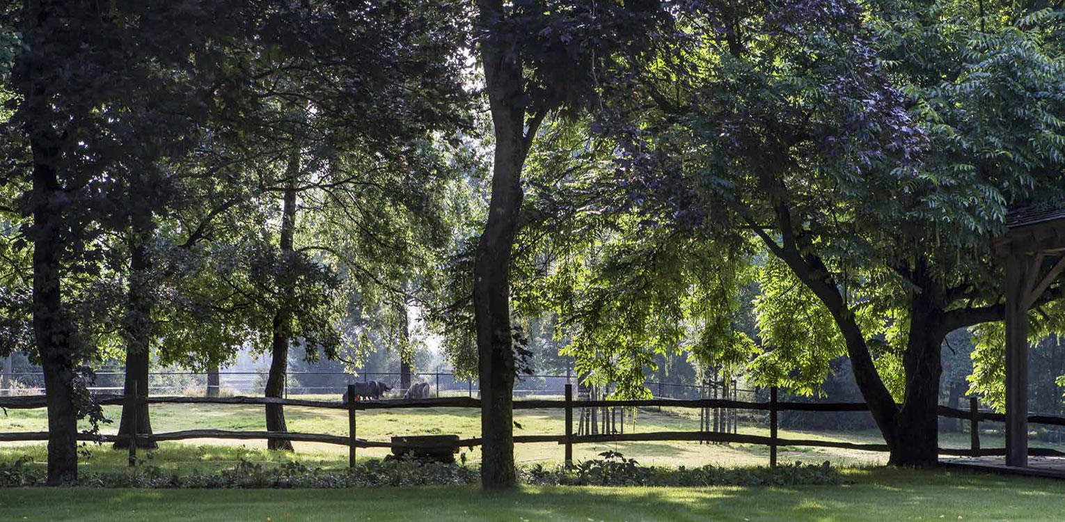 Landschappelijke boerderijtuin Eibergen