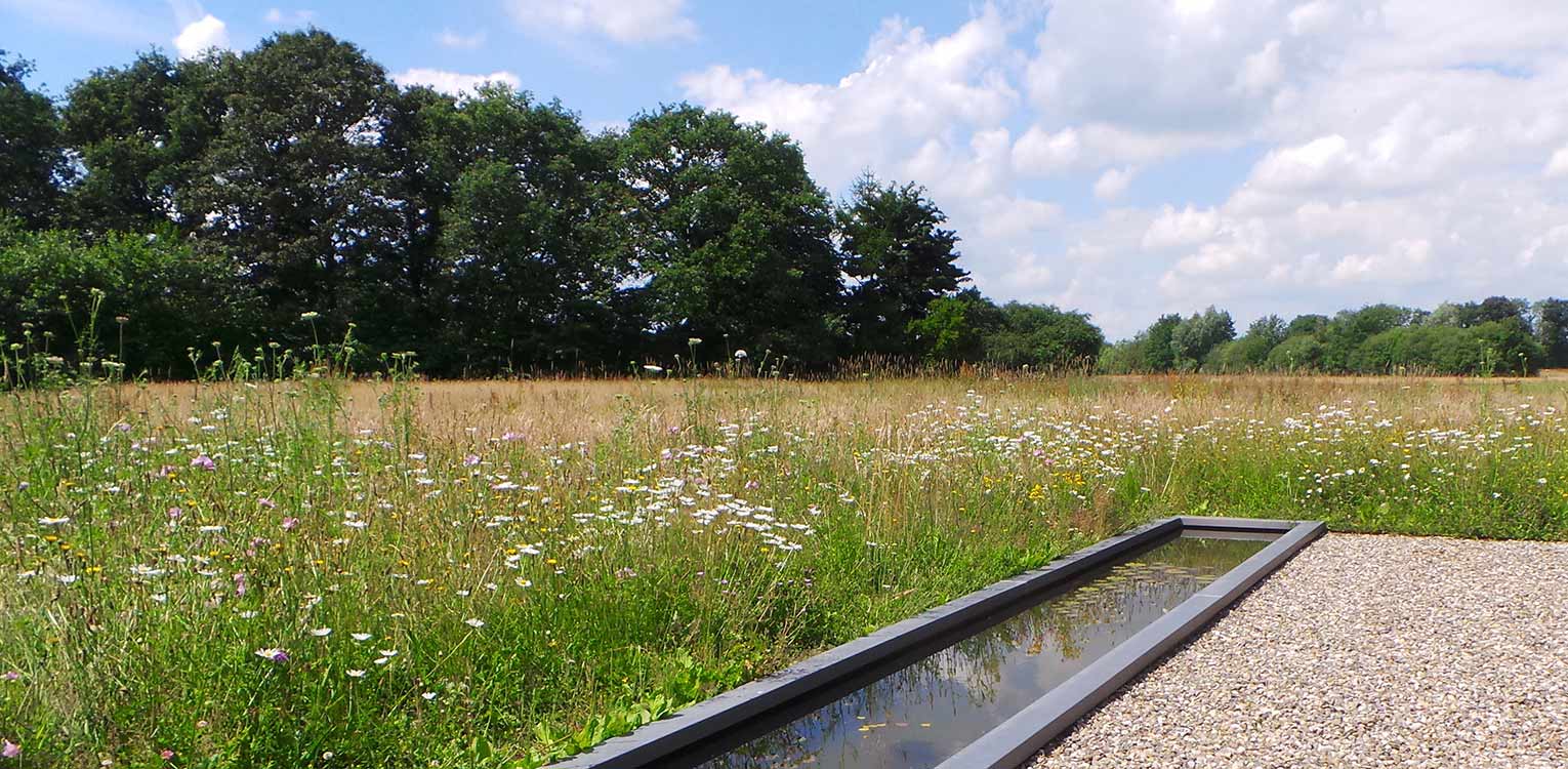 Doordachte landschapstuin Hengelo